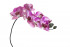    8J-1219S0004 Орхидея розовая 85 см (12)