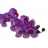    8J-1219S0005 Орхидея лиловая 85 см (12)