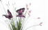    8J-15AB0002 Стебли травы с бабочками 70 см (крас.) (24)